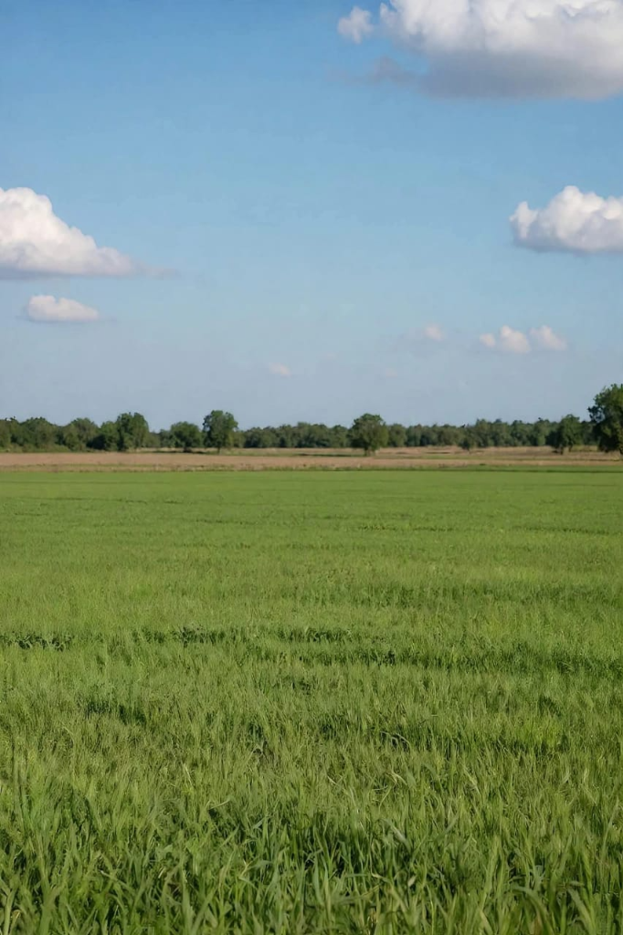 Expansive Open Green Land for Development and Investment
